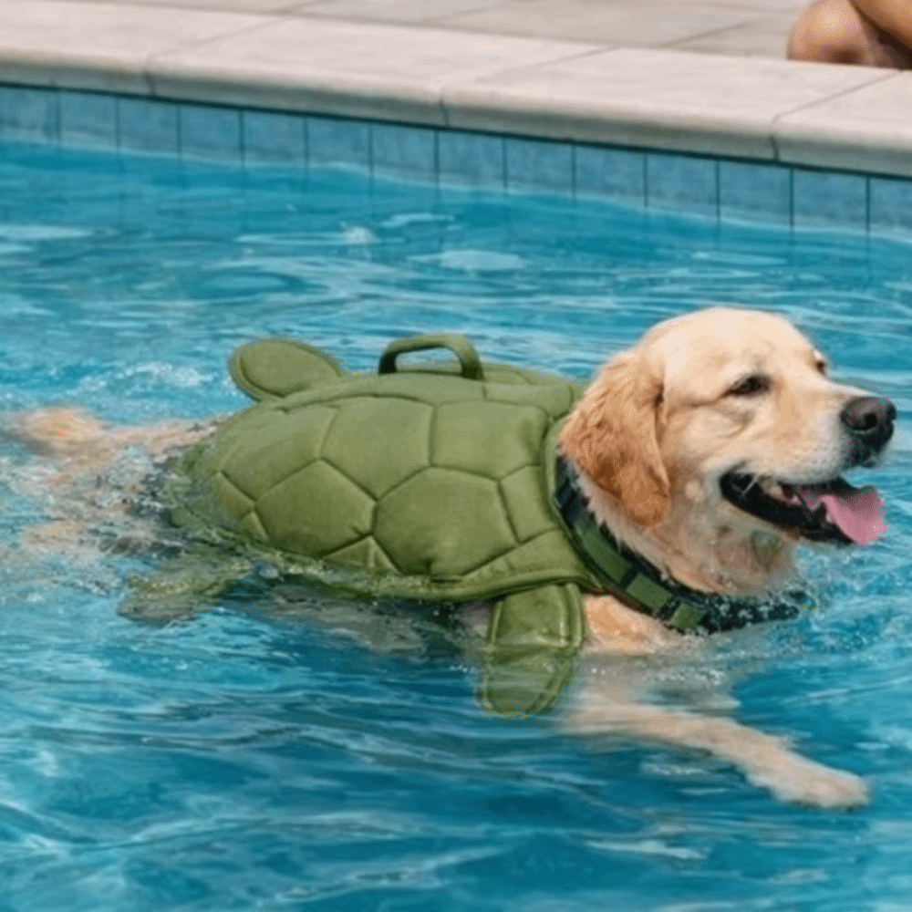 Dog Life Jacket - Cute Turtle Shape Pet Life Jacket