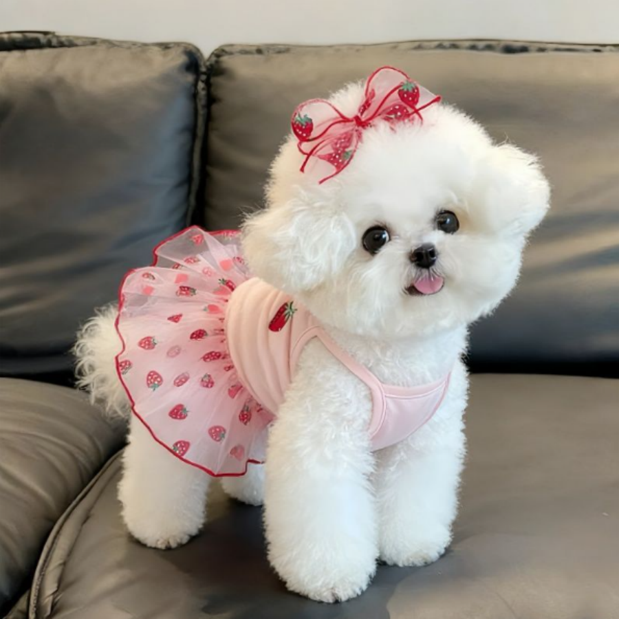 Pet Supplies York - 1PC Cute Pet Dog Dress for