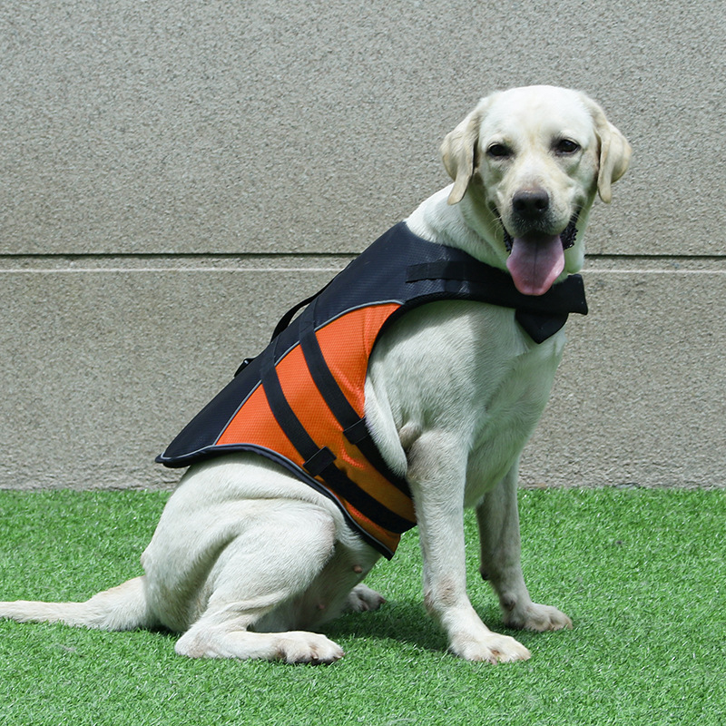 Dog Life Jacket - 강아지봄옷 Adjustable Dog Life Jacket Enhanced