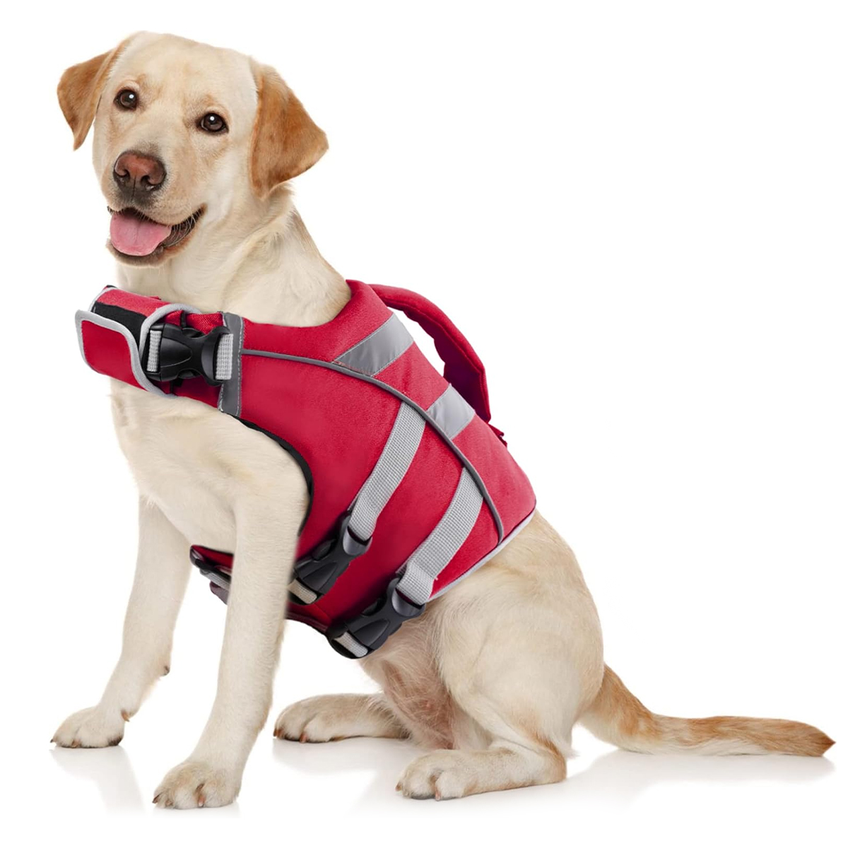 Ensure Your Dog's Water Advent - Dog Life Jacket บทวิจารณ์และราคา