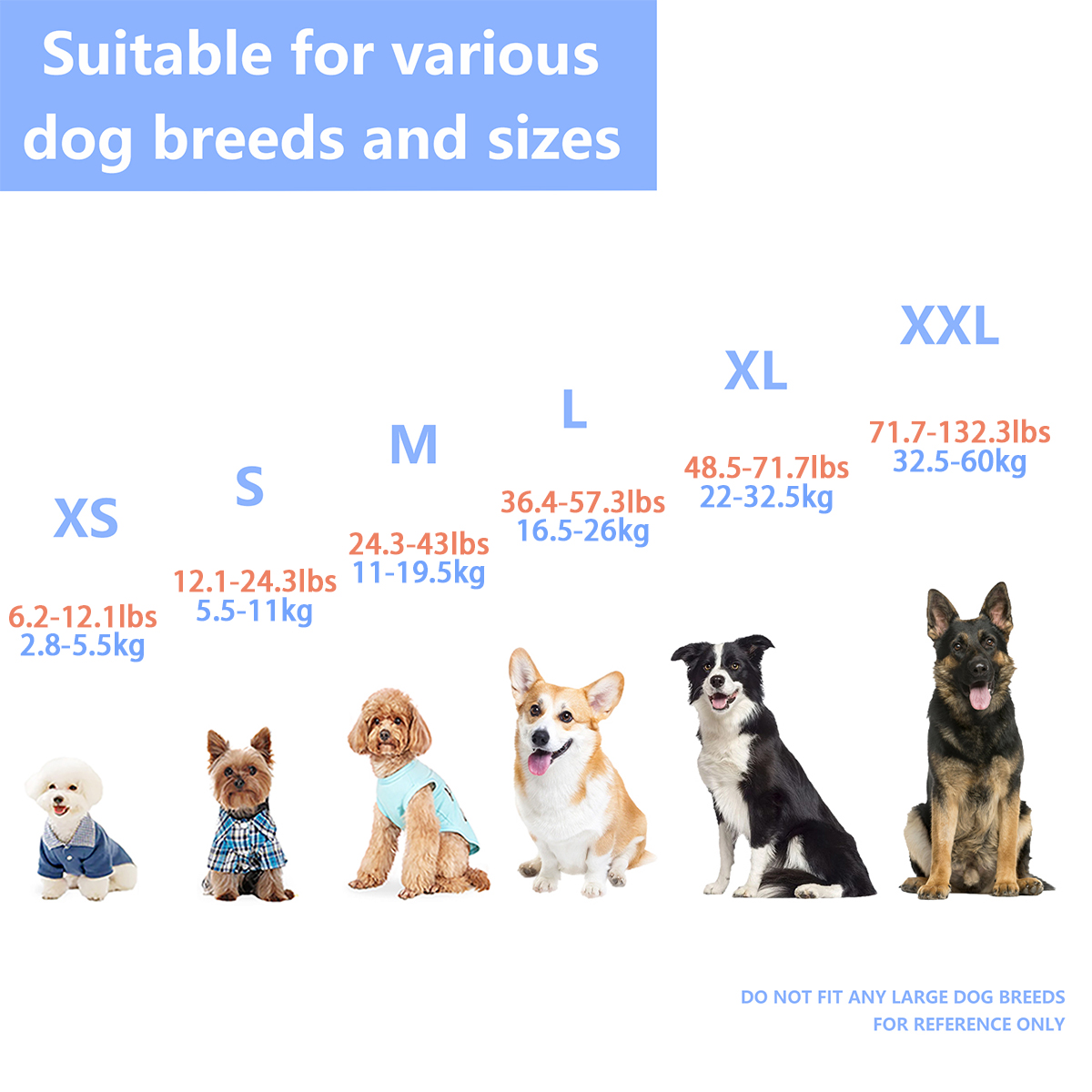 Ensure Your Dog's Water Advent - Dog Life Jacket บทวิจารณ์และราคา