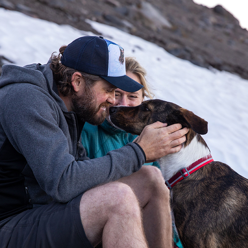 Ruffwear Reflective Dog Collar - Pet Supplies For Less บทวิจารณ์และราคา
