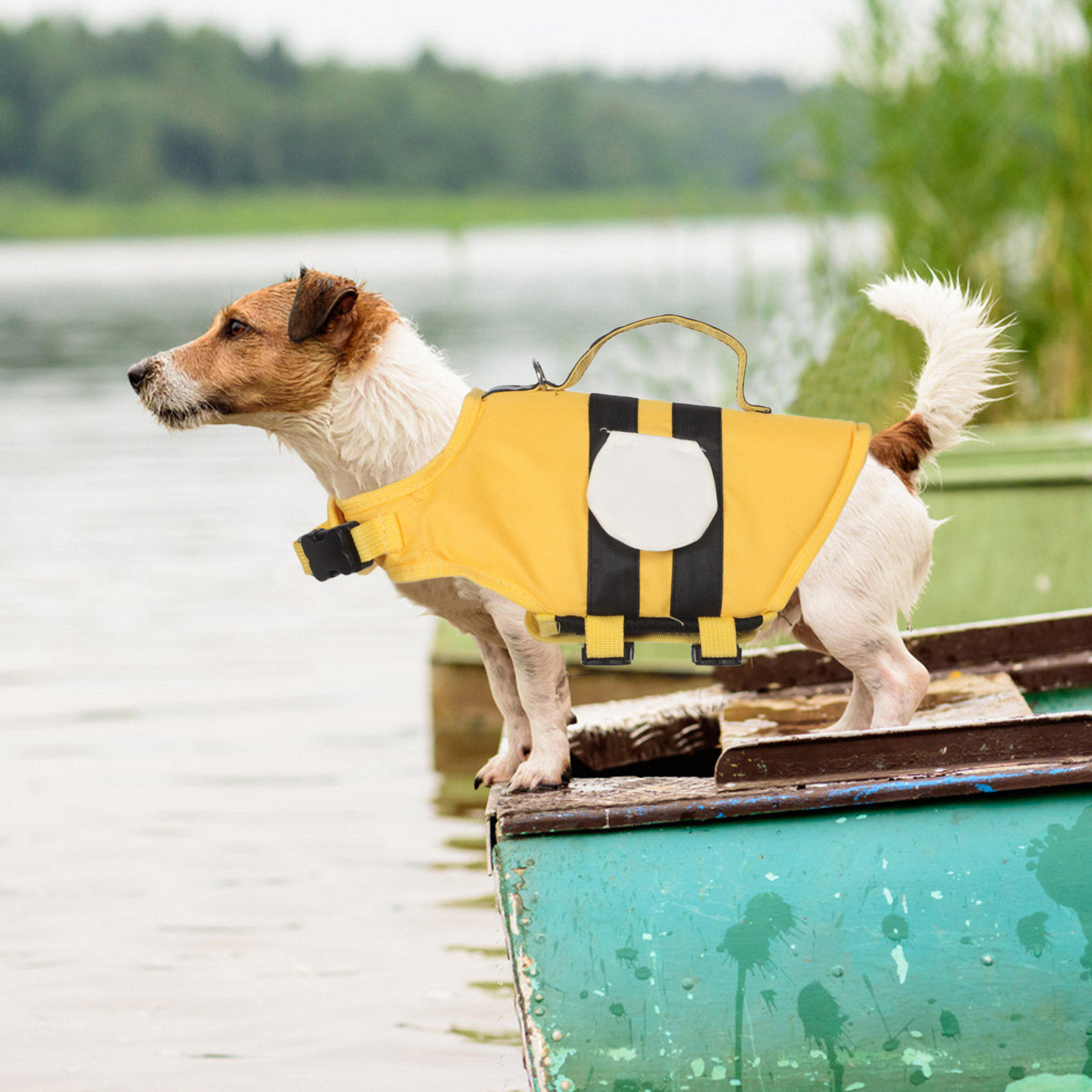 Dog Swimming Vest for Small Do - Dog Life Jacket บทวิจารณ์และราคา