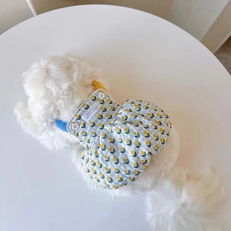 Creative Autumn and Winter Clo - Pet Supplies For Less บทวิจารณ์และราคา
