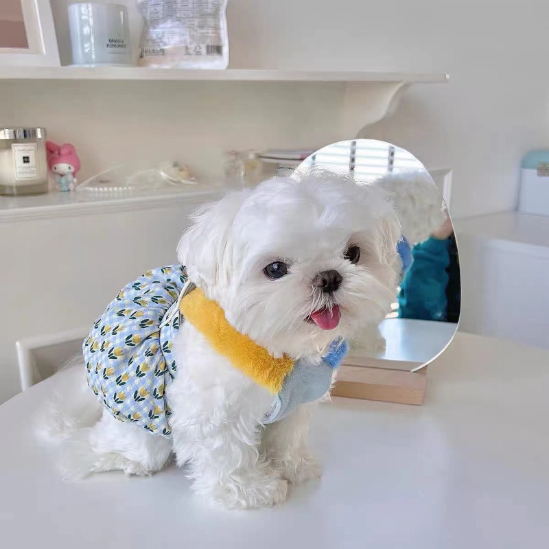 Creative Autumn and Winter Clo - Pet Supplies For Less บทวิจารณ์และราคา