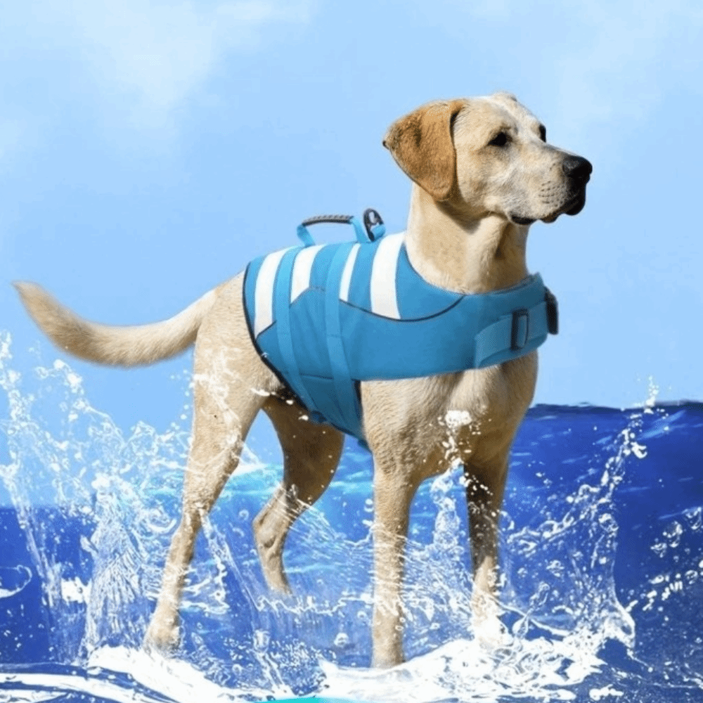 Reflective Dog Life Jacket Sup - Dog Life Jacket บทวิจารณ์และราคา