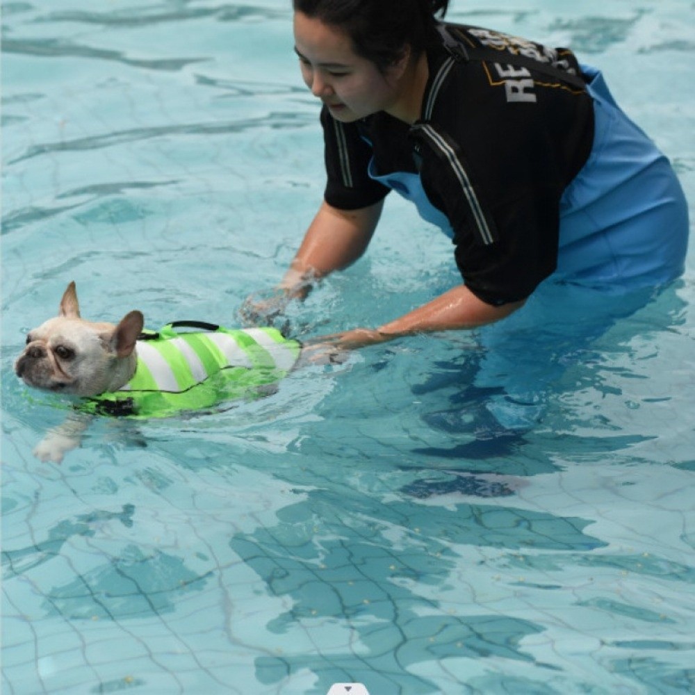 Reflective Dog Life Jacket Sup - Dog Life Jacket บทวิจารณ์และราคา