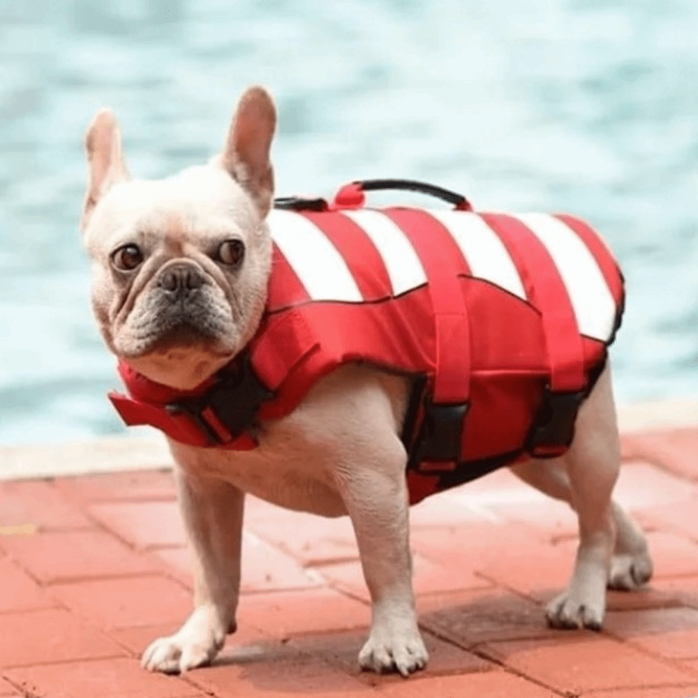 Reflective Dog Life Jacket Sup - Dog Life Jacket บทวิจารณ์และราคา