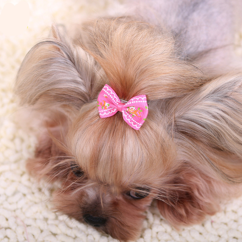 New Hairpin for Dogs Kitten Pu - Pet Supplies York บทวิจารณ์และราคา