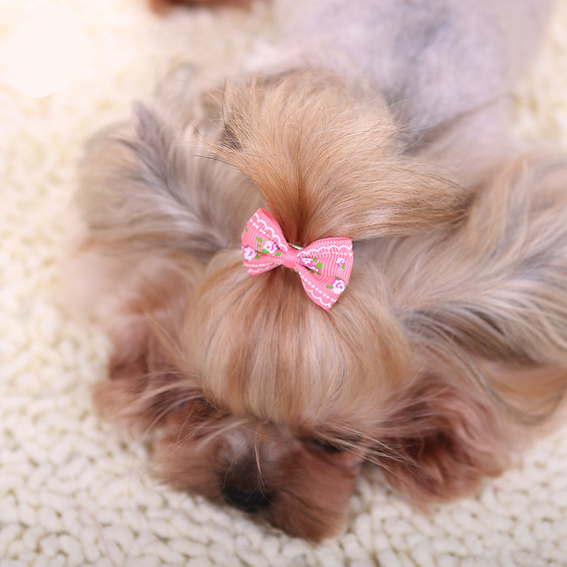 New Hairpin for Dogs Kitten Pu - Pet Supplies York บทวิจารณ์และราคา
