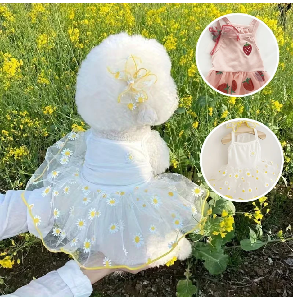 Summer Thin Puppy Princess Ski - Pet Supplies York บทวิจารณ์และราคา