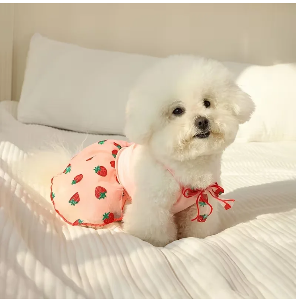 Summer Thin Puppy Princess Ski - Pet Supplies York บทวิจารณ์และราคา
