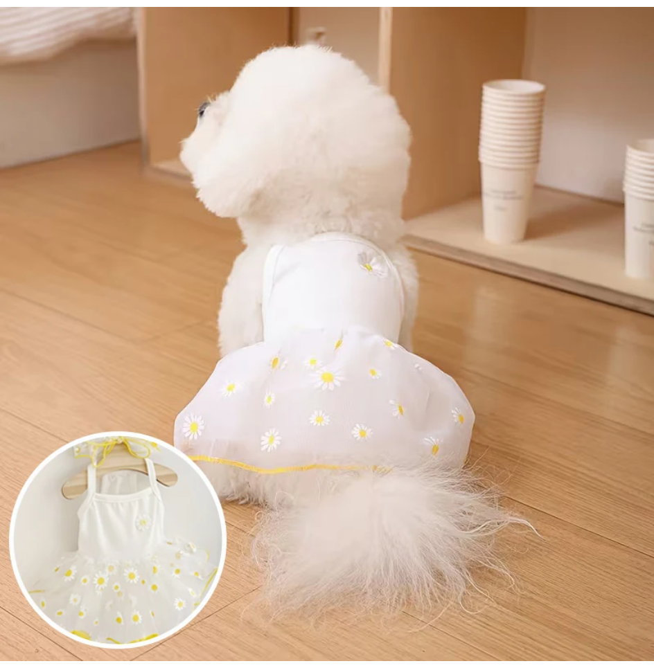Summer Thin Puppy Princess Ski - Pet Supplies York บทวิจารณ์และราคา