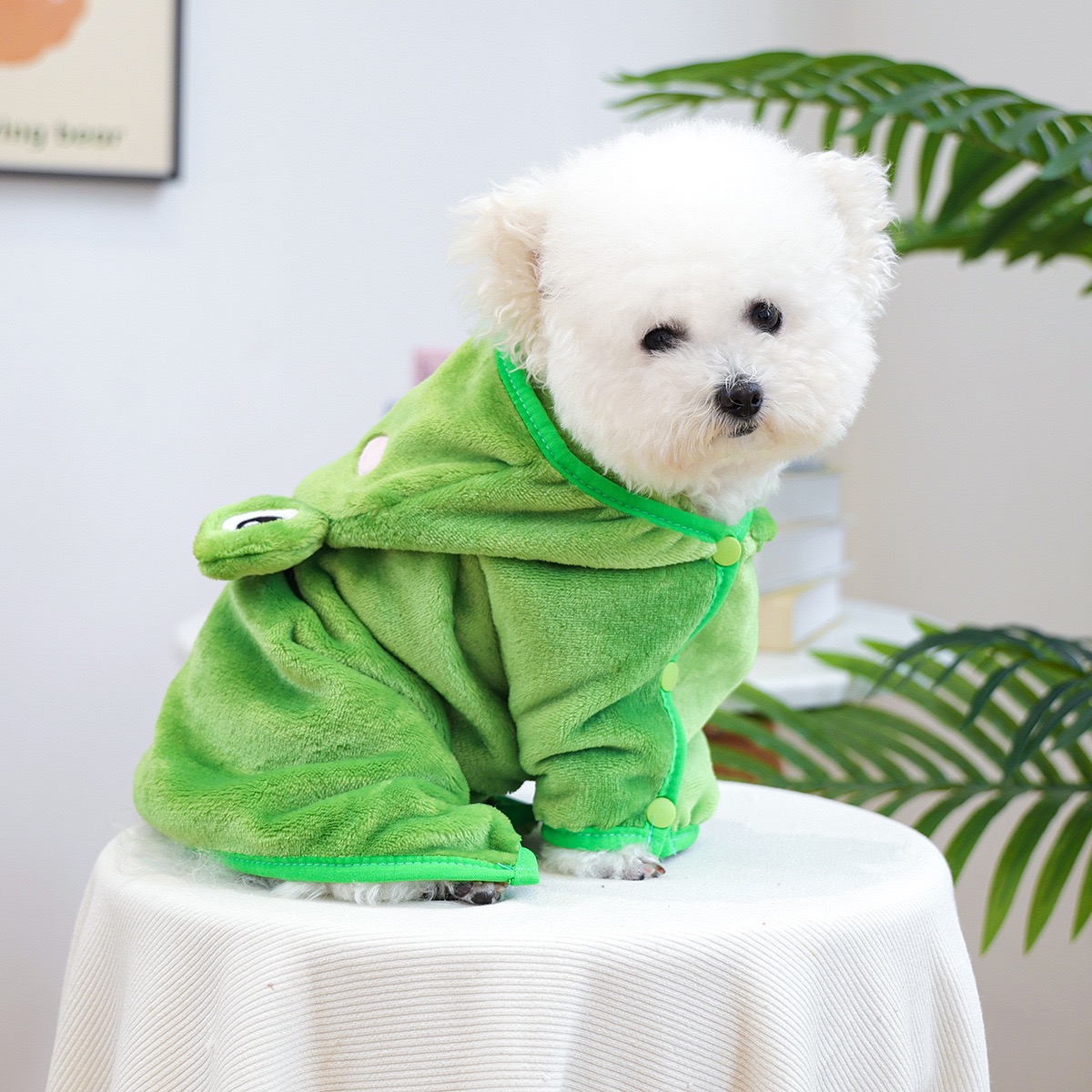 Frog Cap One Piece Dogs Cloak  - Pet Supplies York บทวิจารณ์และราคา