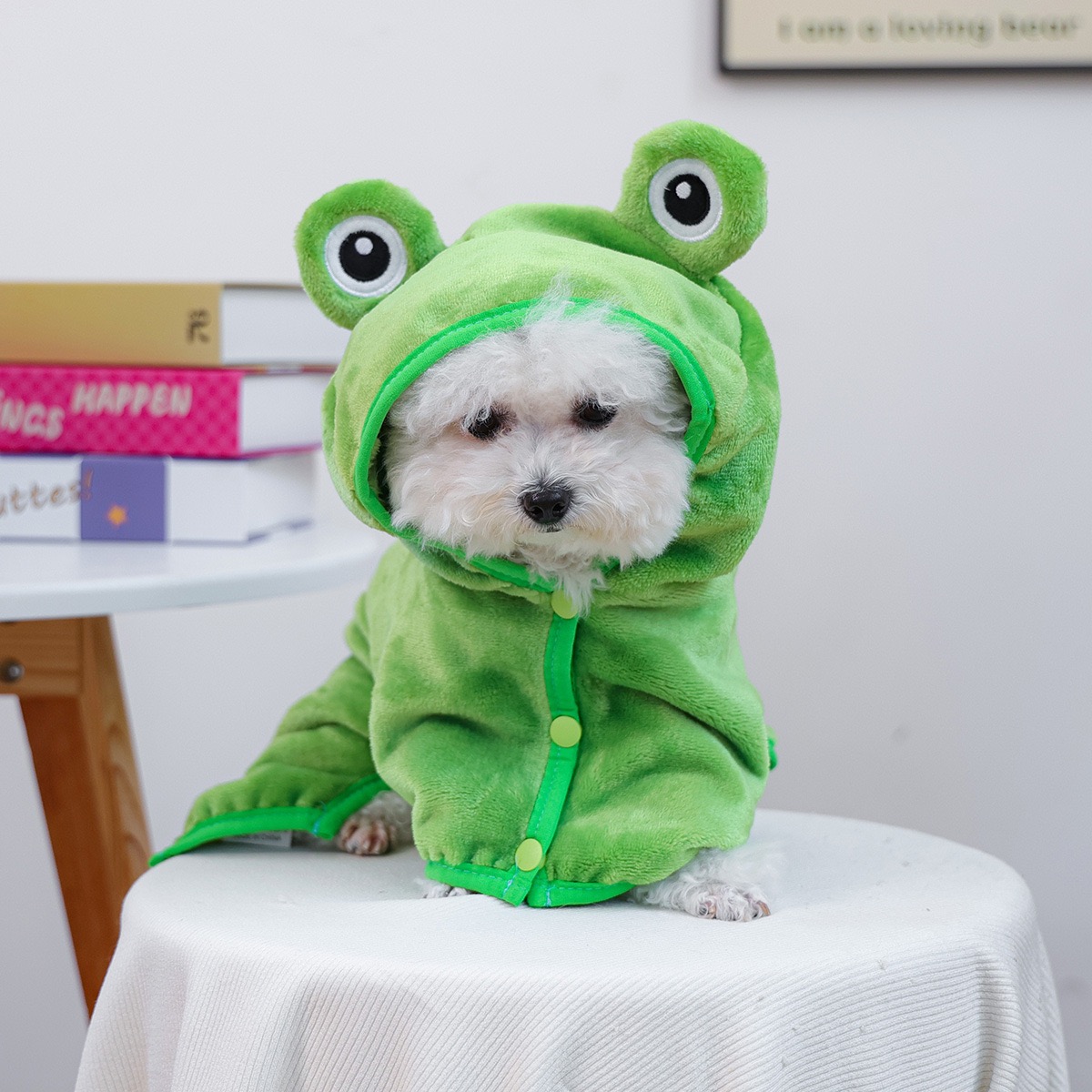 Frog Cap One Piece Dogs Cloak  - Pet Supplies York บทวิจารณ์และราคา