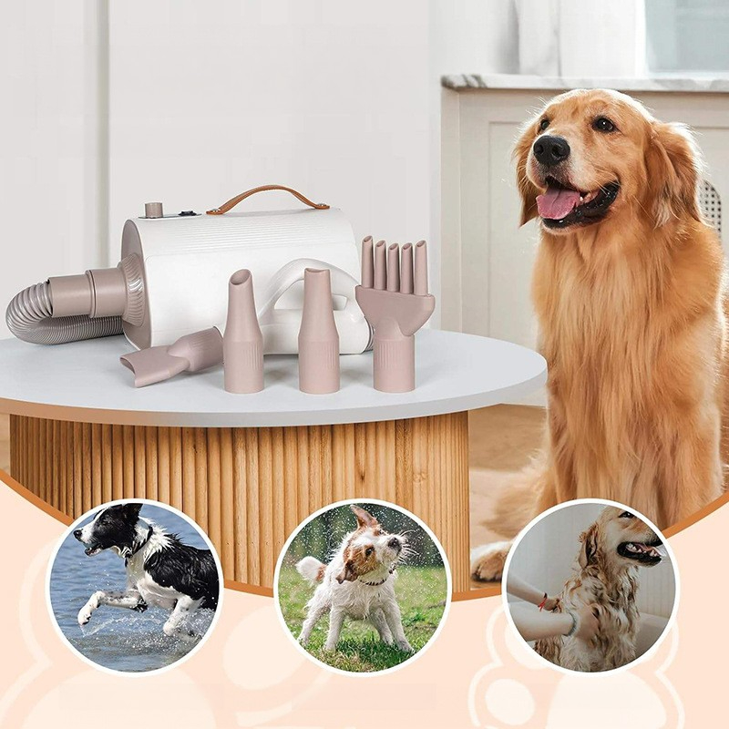 Pet Hair Dryer Low Noise Multi - Pet Supplies For Less บทวิจารณ์และราคา