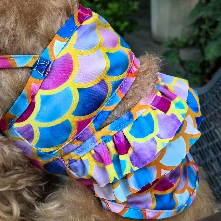 PETSIN Jacket, Suitable For La - Dog Life Jacket บทวิจารณ์และราคา