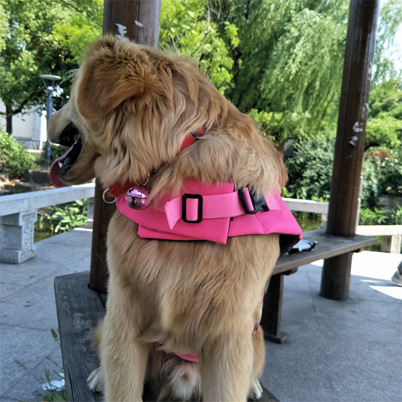 Summer Puppy Big Dog Swimsuit  - Dog Life Jacket บทวิจารณ์และราคา