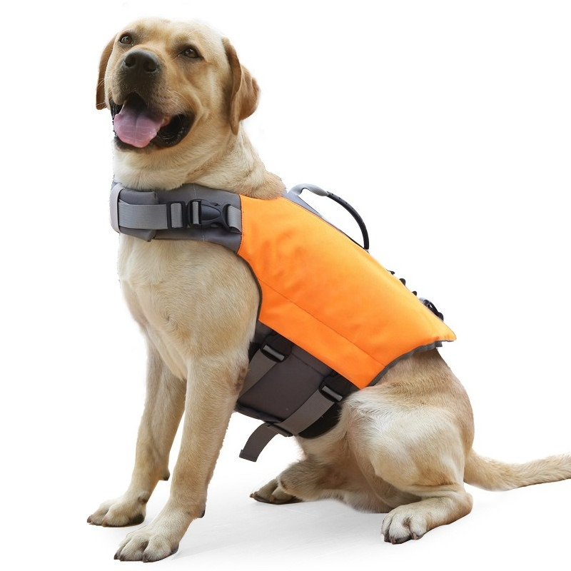 Pet Life Vest Dog Life Jacket  - Dog Life Jacket บทวิจารณ์และราคา