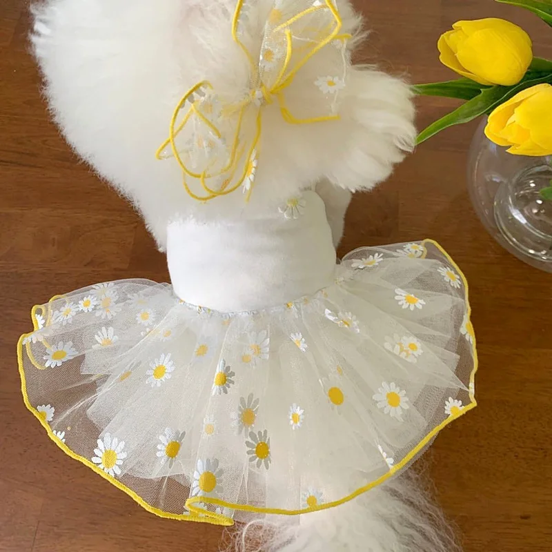 Cute Pet Dog Dress for Small D - Pet Supplies York บทวิจารณ์และราคา