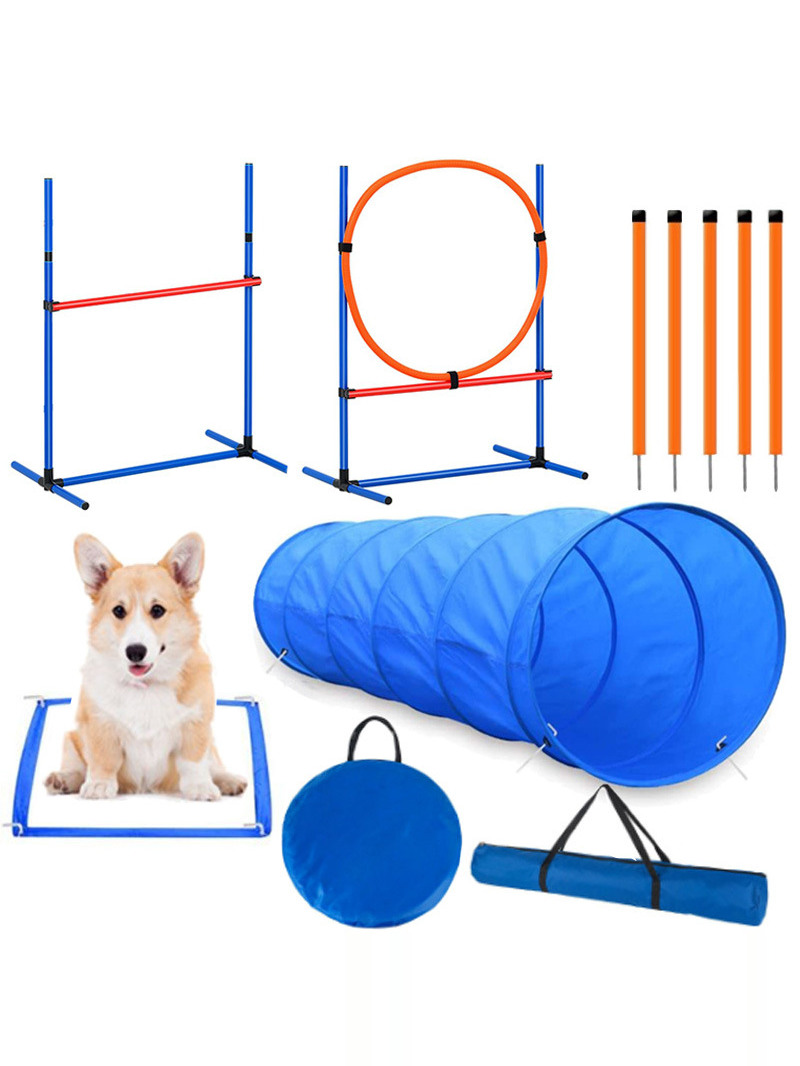 Dog Obstacle Training Competit - Pet Supplies Usa บทวิจารณ์และราคา