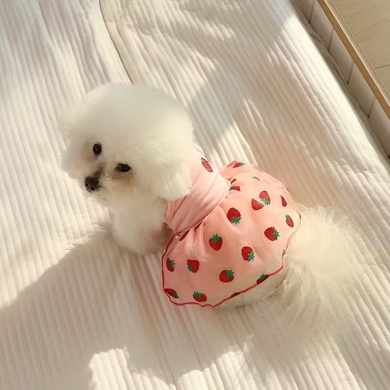 Summer Thin Puppy Princess Ski - Pet Supplies York บทวิจารณ์และราคา