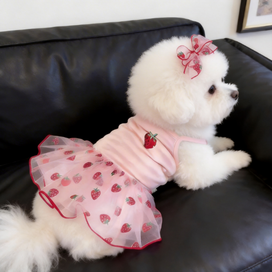 1PC Cute Pet Dog Dress for Sma - Pet Supplies York บทวิจารณ์และราคา