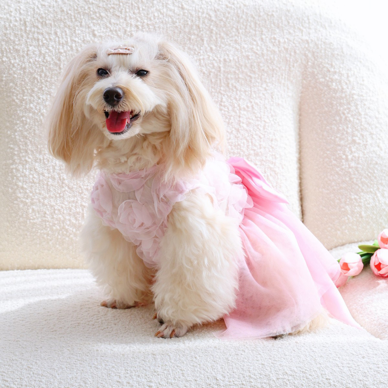 Spring Summer Thin Puppy Princ - Pet Supplies York บทวิจารณ์และราคา