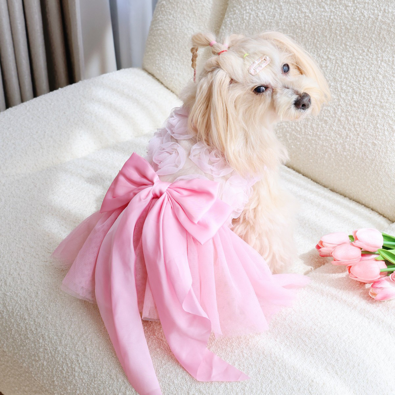 Spring Summer Thin Puppy Princ - Pet Supplies York บทวิจารณ์และราคา