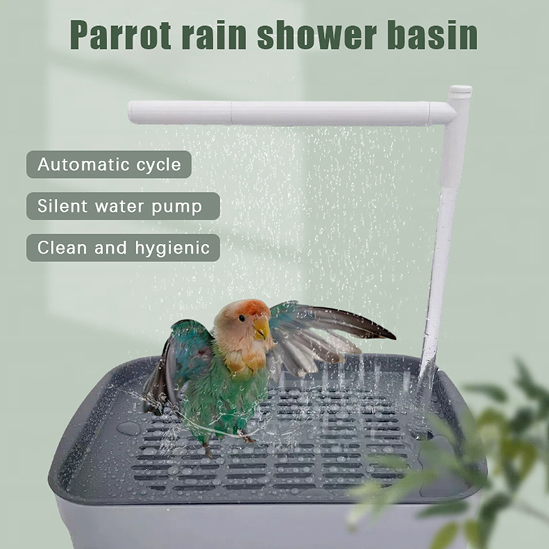 New Sale 2026 Automatic Parrot - Pet Supplies Usa บทวิจารณ์และราคา
