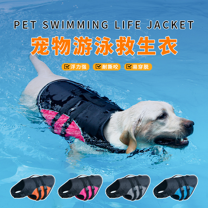 강아지봄옷 Adjustable Dog Life Jack - Dog Life Jacket บทวิจารณ์และราคา