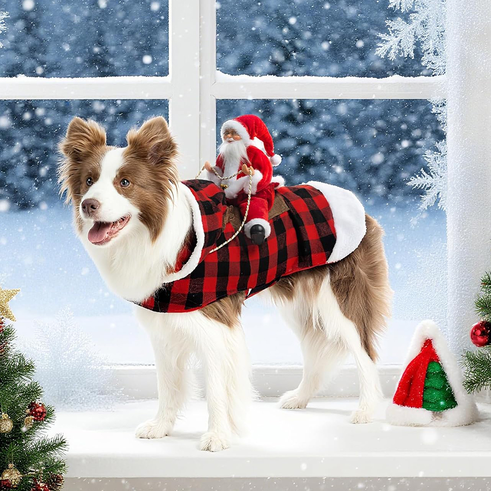 Winter Happy New Year Pet Cost - Pet Supplies York บทวิจารณ์และราคา
