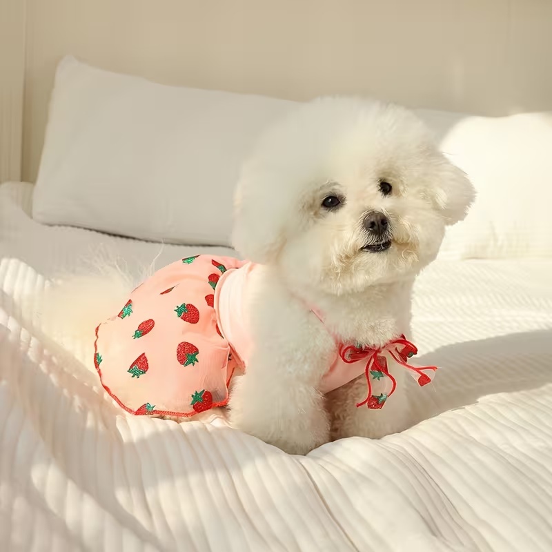 Summer Thin Puppy Princess Ski - Pet Supplies York บทวิจารณ์และราคา